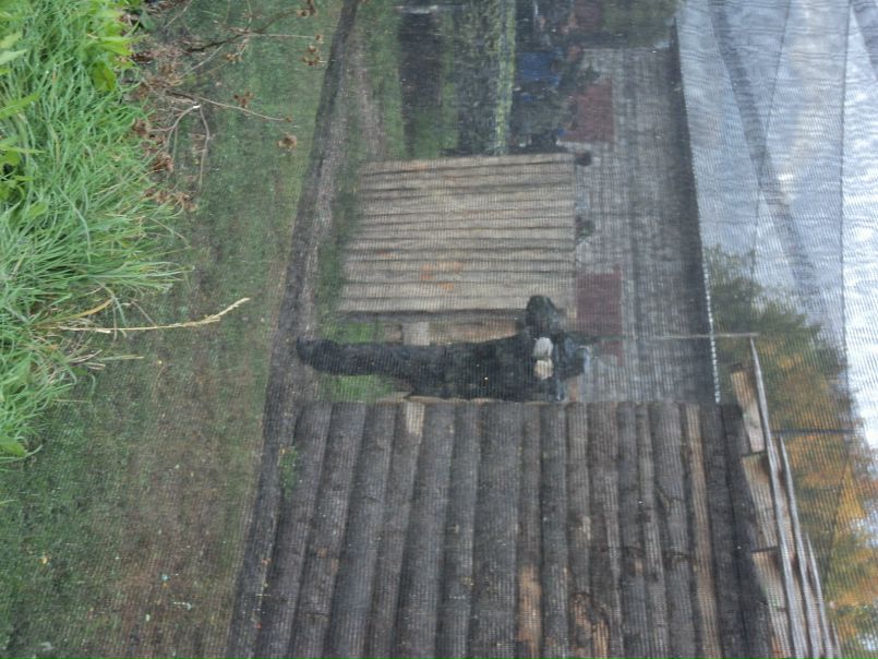 Сергей Якушенко фото №33