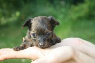 Фотография Алексеевой Анастасии