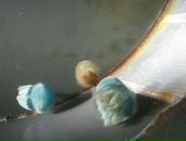 Ірина Сурженко фотография #45 (источник - https://vk.com/id6471667)