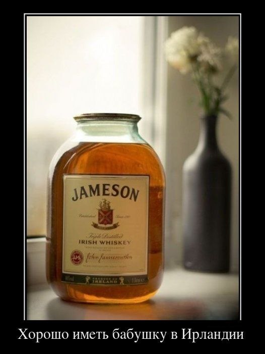 Дмитрий Плещёв фотография #45