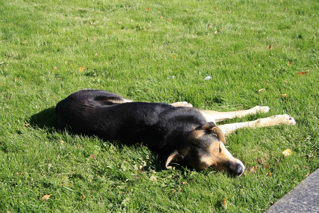 Андрей Рогалевич фотография #45