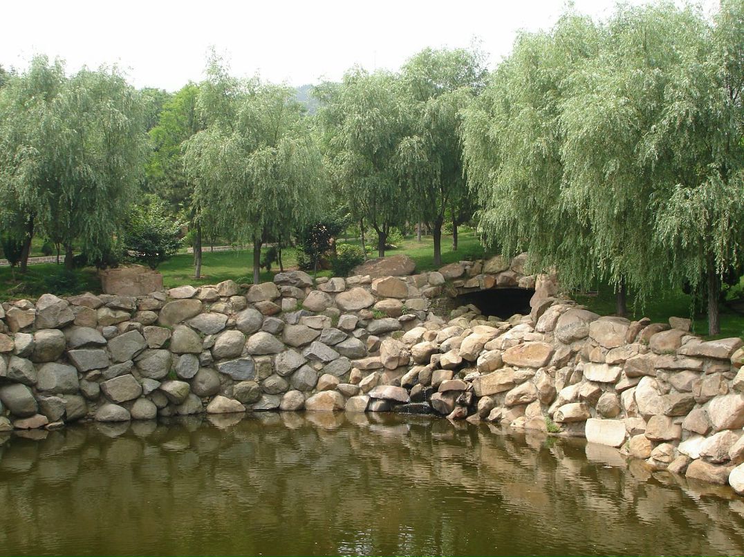 Дмитрий Тимохин фотография #35