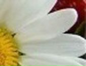 Яна Excale фотография #42 (источник - https://vk.com/id727315)