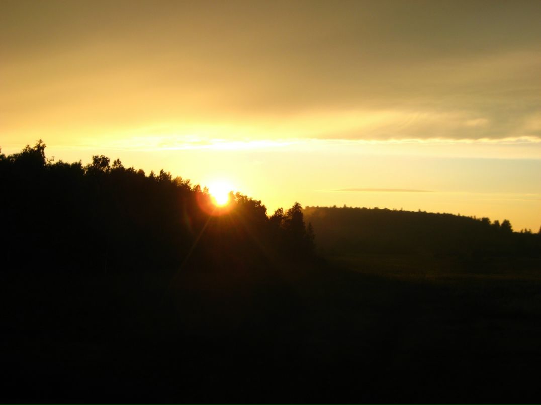 Дмитрий Линьков фотография #36