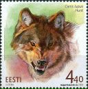 Фотография Нефёдова Михаила