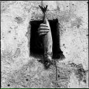 Фотография Конюхова Сергея