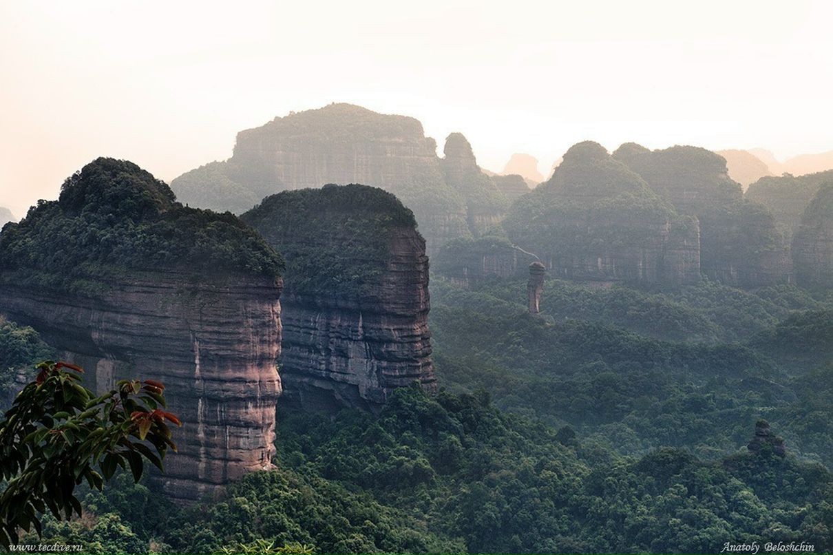 Дмитрий Тушин фотография #21