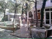 Фотография Егоров Анатолий