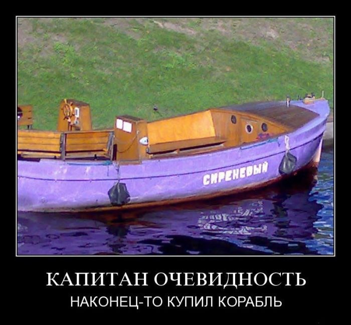 Дмитрий Шкапов фотография #28