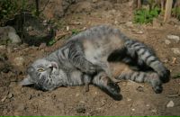 Фотография Галкиной Катюши