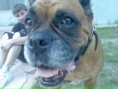 Фотография Саттарова Аделя