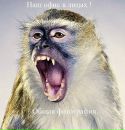 Роберт Берегій фотография #49 (источник - https://vk.com/id142591492)