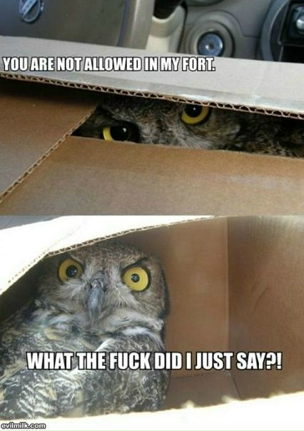 Feo Feo фото №30