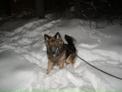 Фотография Владимировой Екатерины