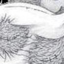 Інна Садовчук фотография #33 (источник - https://vk.com/id149078388)