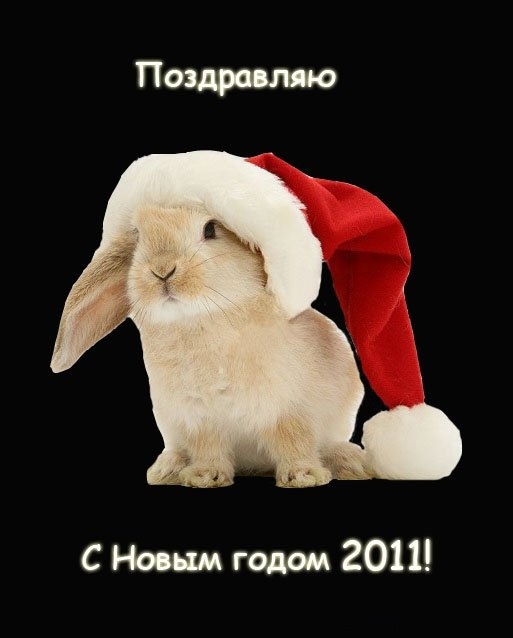 Michael Tkachenko фотография #9