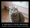 Olga Olla фотография #9 (источник - https://vk.com/id138036530)