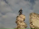 Володимир Підданюк фотография #6 (источник - https://vk.com/id81014282)