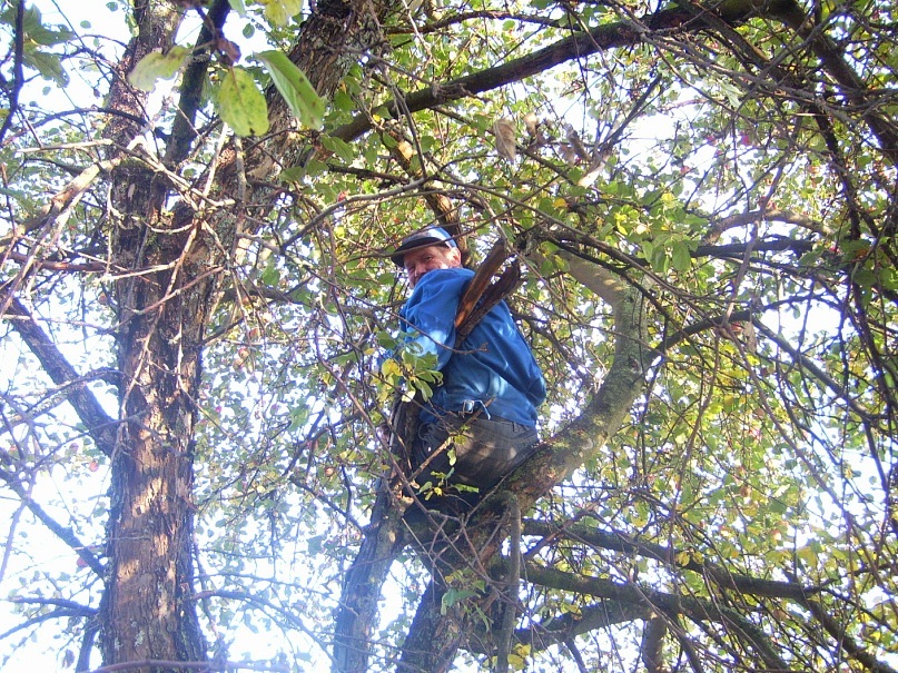 Александр Шабанов фотография #8