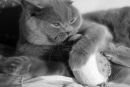 Фотография Николаевой Оксаны