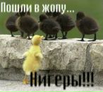 Гена Зарубін фотография #27 (источник - https://vk.com/id68484676)