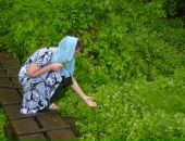 Фотография Трофимовой Екатерины