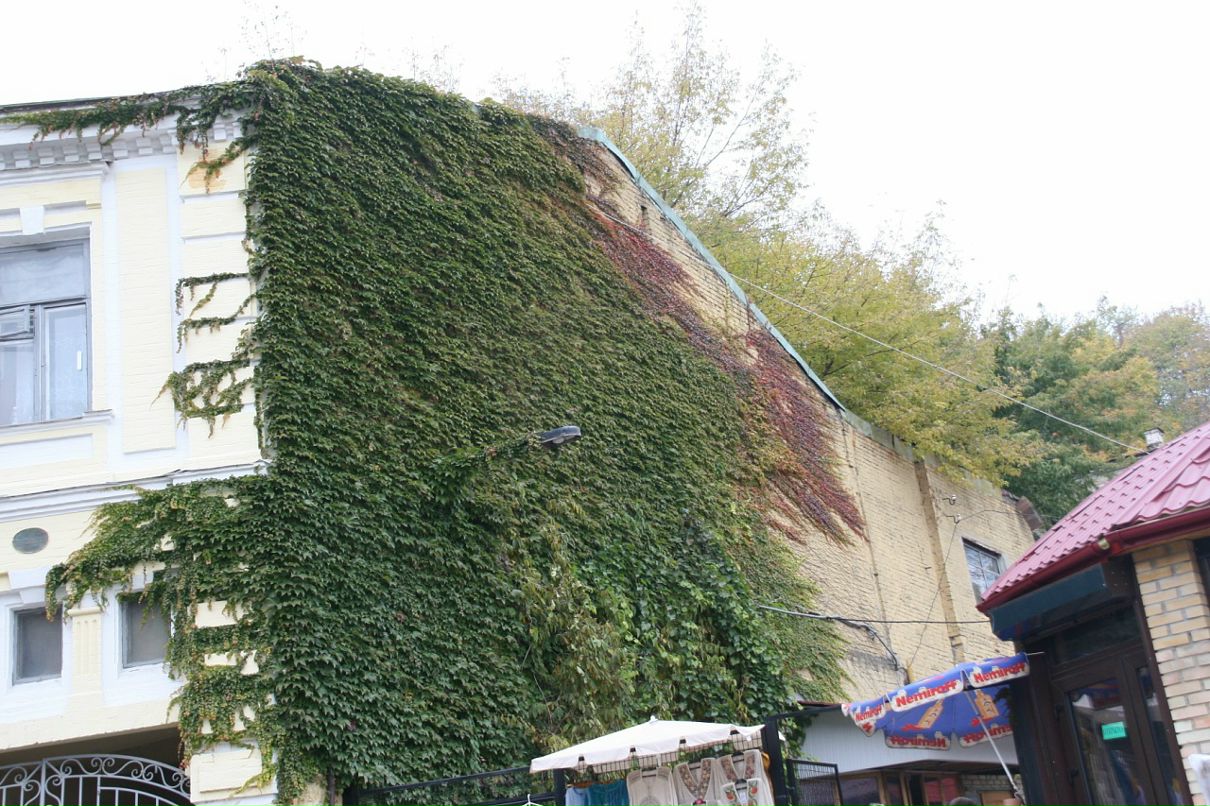 Роман Усеинов фотография #34