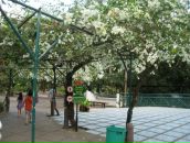 Клевый Парень фотография #22 (источник - https://vk.com/id391001)