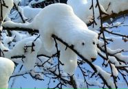 Ірина Артюшенко фотография #44 (источник - https://vk.com/id49141359)