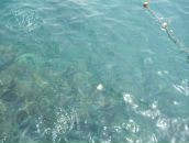 Фотография Сбитневой Нади