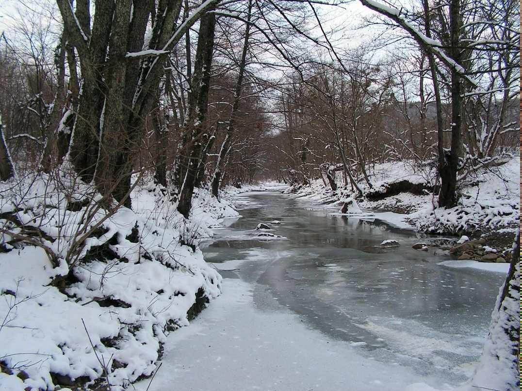 Лариса Стефанова фотография #7