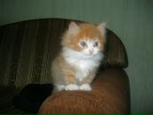 Фотография Кузнецова Олега