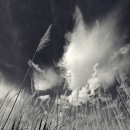 Фотография Ларичевой Инны