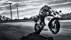 Фотография Филина Влада