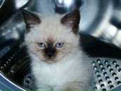 Фотография Калинской Елены