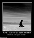 Хомік Льоня фотография #29 (источник - https://vk.com/id100225471)