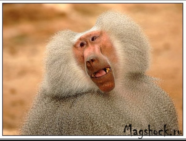 №14, Борис Зильберман №14, Борис Зильберман