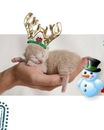 Марічка Степась фотография #5 (источник - https://vk.com/id136192646)