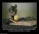 Ігор Невідомський фотография #35 (источник - https://vk.com/id49550529)