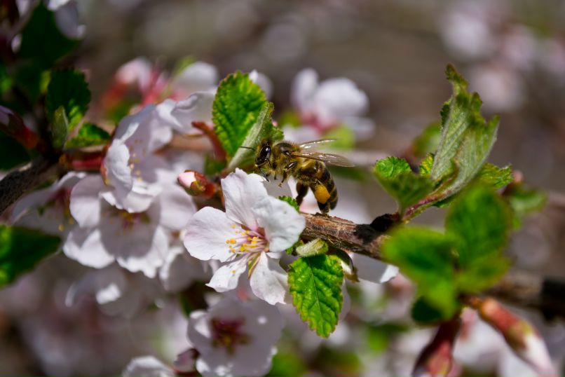 Антон Девяткин фотография #49