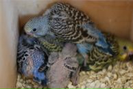 Евгений Кабин фотография #7 (источник - https://vk.com/id6736668)