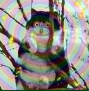 Фотография Аврелова Марка