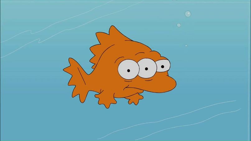 Сашка Веселый фотография #40