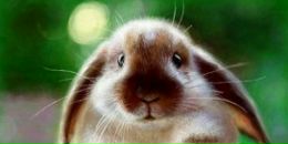 Фотография Гольдиновой Анны