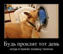 Сергій Поліщук фотография #49 (источник - https://vk.com/id129425819)