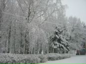 Ларіса Козлюк фотография #17 (источник - https://vk.com/id23871367)