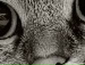 Саша Іскрицька фотография #19 (источник - https://vk.com/id73247965)