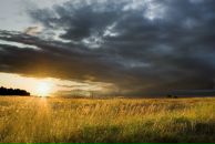 Фотография Сухановского Юрия