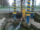 Ігор Карпук фотография #15 (источник - https://vk.com/id127793201)