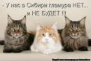 Андруся:)) Лозинська фотография #44 (источник - https://vk.com/id121655750)